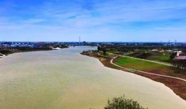 沙河网最新爆料新闻,最新爆料新闻背后的惊人真相