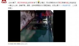 死水最新爆料新闻报道视频,独家视频揭露惊人内幕