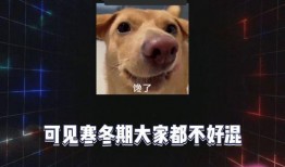 娱乐八卦爆料吃瓜在哪看,吃瓜群众必看，最新八卦爆料集中地