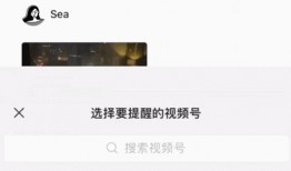 紧急扩散爆料视频大全集,揭秘事件真相与幕后黑幕
