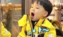 王力宏儿子爆料视频大全,揭秘家庭生活与成长点滴