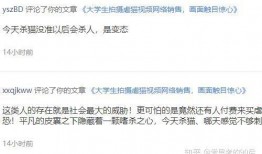 网黑爆料视频群,暗流涌动的网络黑暗面