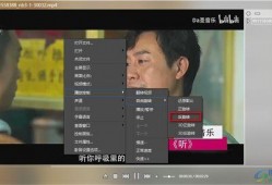 叶哥爆料食物视频播放下载,食物视频播放下载攻略，轻松获取美食盛宴！