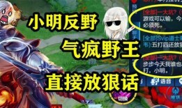 王者大盗爆料小明视频,小明视频背后的惊人真相