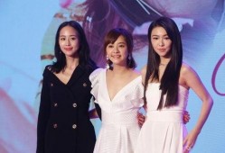 娱乐圈爆料模板大全最新,揭秘明星背后的惊人真相！