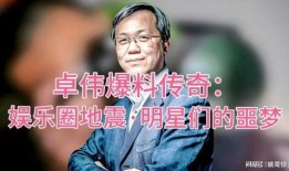 娱乐圈传奇爆料,揭秘明星背后的惊人真相