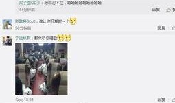 熊叔娱乐爆料微博视频