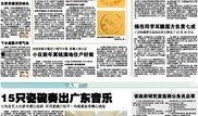 广州在线新闻爆料,揭秘城市热点事件背后的真相