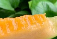 吃哈密瓜的新疆网红叫什么,新疆美食新宠儿