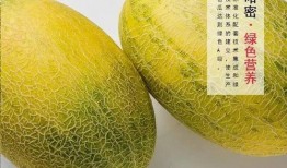 吃哈密瓜的新疆网红叫什么,新疆美食新宠儿