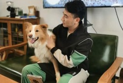 林生斌孩子最新爆料,真相背后令人震惊