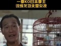 陈慧敏爆料视频大全,揭秘娱乐圈不为人知的幕后故事