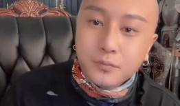 王泽鹏爆料后续视频播放,事件真相再引热议