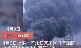 最近胶州爆料事件视频曝光,视频曝光揭示惊人真相
