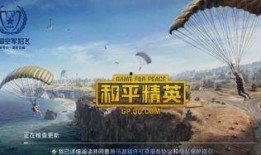 和平精英最新爆料今天更新,今日更新，全新内容震撼来袭！