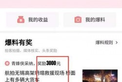 爆料视频 平台