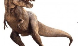 霸王龙最新爆料新闻