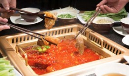 港城美食爆料视频大全最新