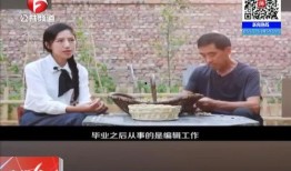 爆料麦小登的视频,揭秘幕后真相