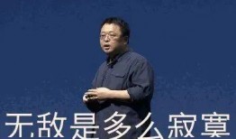 罗永浩ppt爆料视频