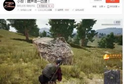 主播搞笑爆料大全图片视频