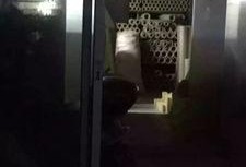 工厂实拍爆料视频大全集,揭秘工业生产现场全纪录