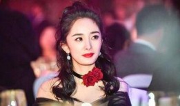娱乐圈哪些明星被爆料,揭秘明星背后的秘密与争议