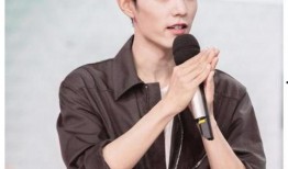 杨幂肖战最新爆料,揭秘娱乐圈背后的秘密与情感纠葛