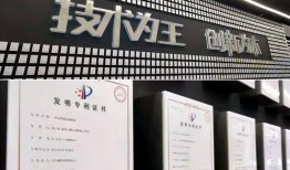 比亚迪高管爆料最新动态,揭秘新能源汽车产业未来趋势与挑战