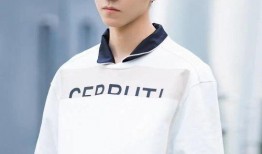 爱豆爆料王俊凯视频下载,爱豆爆料背后的精彩瞬间