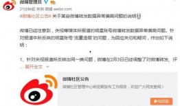 最新明星被爆料网址,明星隐私曝光，揭秘网络时代的隐私危机