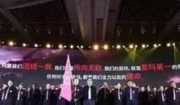 台铃最新爆料新闻,揭秘全新电动车型与技术创新突破