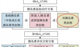 深圳婚礼爆料视频最新2020,时尚潮流与浪漫瞬间