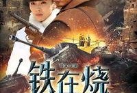 火烧电视剧在线观看,烽火连天，英雄辈出的传奇岁月