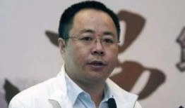 李峰最新爆料视频播放,事件真相与幕后黑手