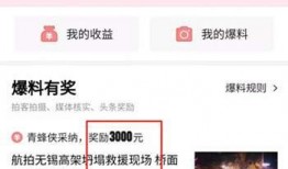 今日头条爆料怎么查看啊,如何轻松查看最新爆料动态