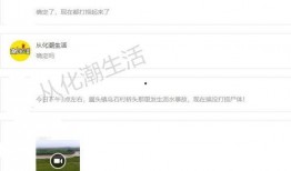 从化欠款爆料事件视频,真相与争议交织