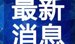 王者爆料鱼姐视频大全最新,揭秘游戏幕后精彩瞬间