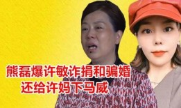 最新爆料许舅舅,最新爆料背后的惊人真相
